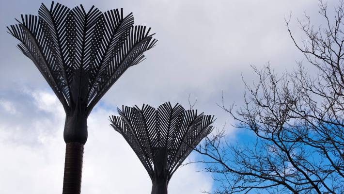 Wellington Library Nikau Palms – Metalmorphic